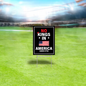 Anti Trump, Garden Decor, No Kings In America Yard Sign