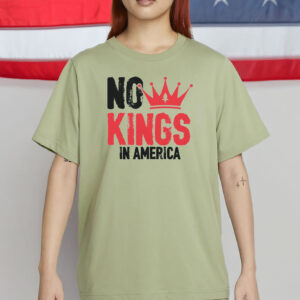 Comfort Colors No Kings In America Shirt – Anti-Trump Protest Tee, Anti-Fascist Political Shirt