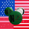 Green Protest Pin for LGBTQ+ & Anti-Authoritarian Activism, No Kings No Closets No Compliance Button