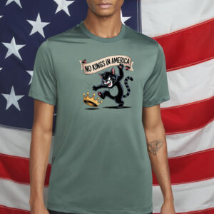 No Kings in America Angry Cat Shirts – Funny Patriotic Protest Tee