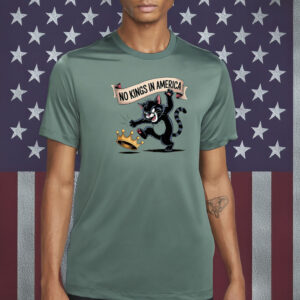 No Kings in America Angry Cat Shirts – Funny Patriotic Protest Tee