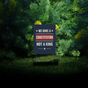 No Kings in America Resist Protest Yard Sign