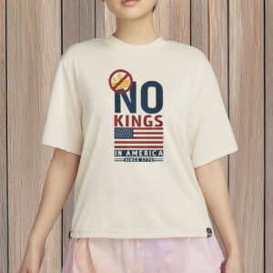 Patriotic Protest Tee, American Democracy Since 1776, Comfort Colors USA Shirt