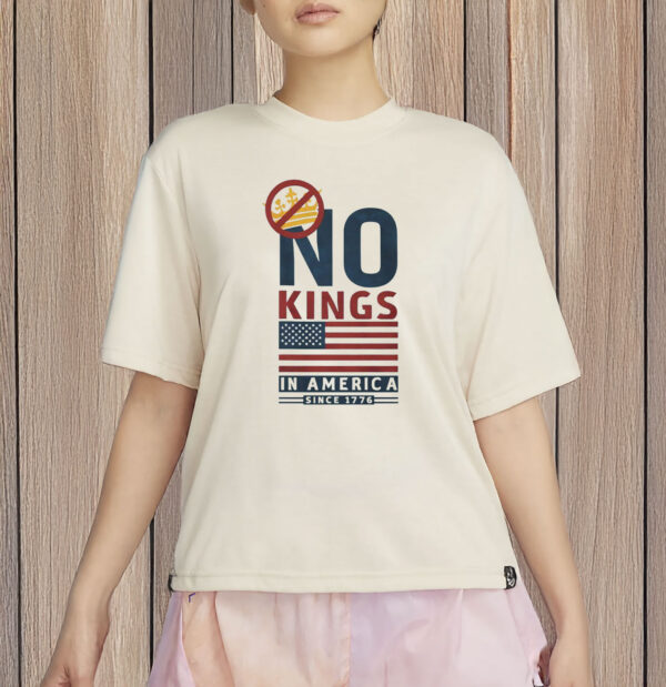 Patriotic Protest Tee, American Democracy Since 1776, Comfort Colors USA Shirt