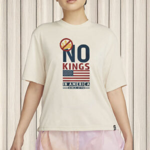 Patriotic Protest Tee, American Democracy Since 1776, Comfort Colors USA Shirt