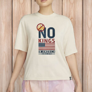 Patriotic Protest Tee, American Democracy Since 1776, Comfort Colors USA Shirt