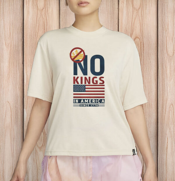 Patriotic Protest Tee, American Democracy Since 1776, Comfort Colors USA Shirt