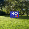 , Political Rally Sign No Kings Day June 14, 2025, Democracy Yard Sign
