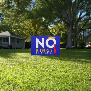 , Political Rally Sign No Kings Day June 14, 2025, Democracy Yard Sign