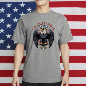 USA Built By Rebels Shirt, Patriotic Eagle Tee, 4th of July Independence Day Shirt