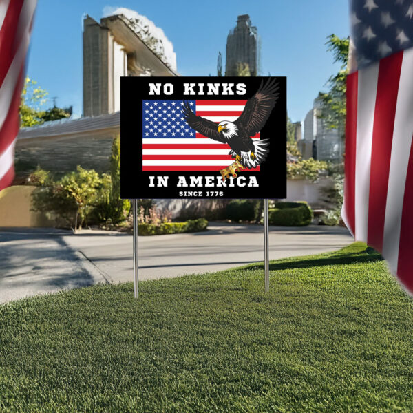 anti maga protest sign-no kings in america yard sign