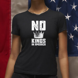 pro democracy comfort colors graphic shirt, no kings in america shirt