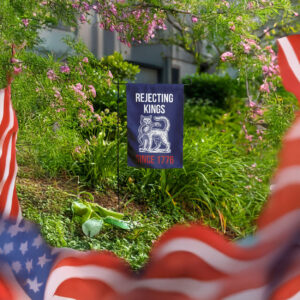 pro democracy flag with revolutionary cat design, rejecting kings since 1776 garden flag
