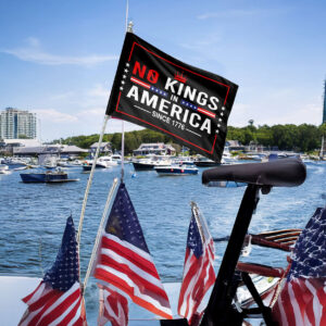 reject authoritarianism yard flag-no kings in america house flag
