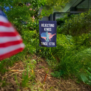 rejecting kings garden flag liberty – anti trump pro democracy flag